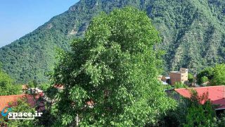 روستای ریگ چشمه - علی آباد کتول - فاضل آباد
